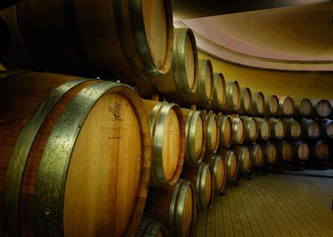 wijnkelder vakantiewoning Toscane