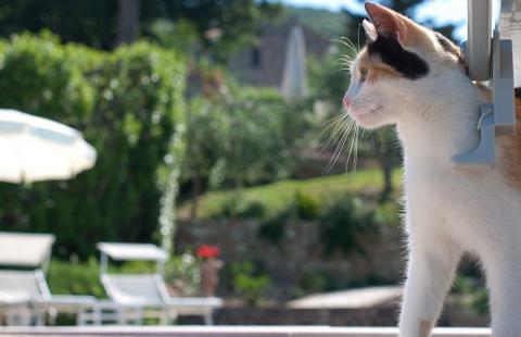 Agriturismo Florence Toscane