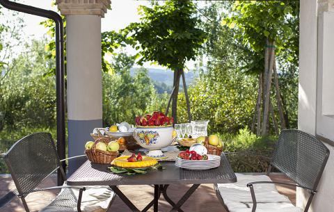 Luxe villa voor 12 Toscane Florence