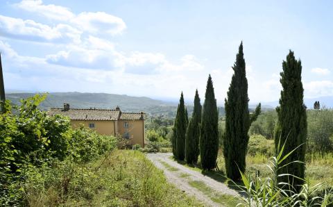 Vrijstaande villa Lucca in Toscane 10 personen | Tritt.nl