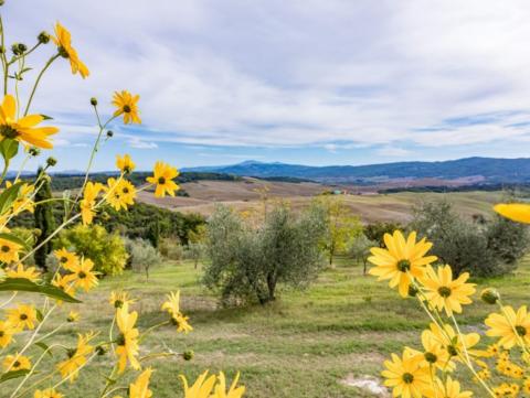 Agriturismo Murlo, Siena Toscane
