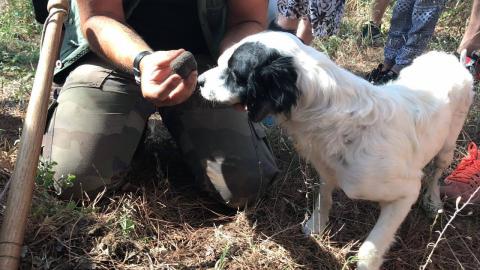 Agriturismo Toscane Pisa