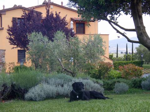 Agriturismo Toscane met zwembad