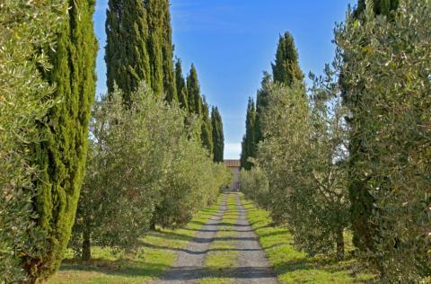 Vakantiehuis voor 22 personen Toscane