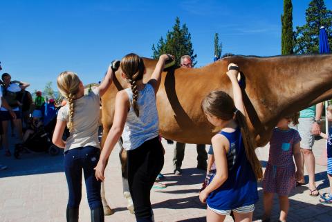 Agriturismo met manege Toscane