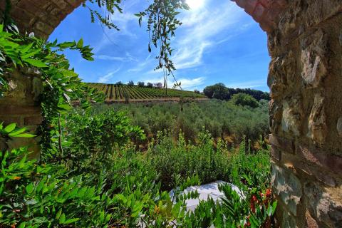 Vakantiehuisje Siena Toscane