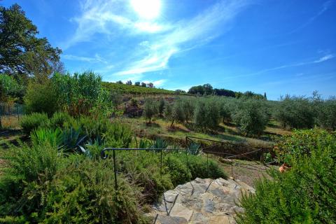 Vakantiehuisje Siena Toscane