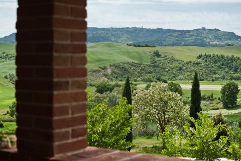 Vakantiehuisjes Toscane Pisa