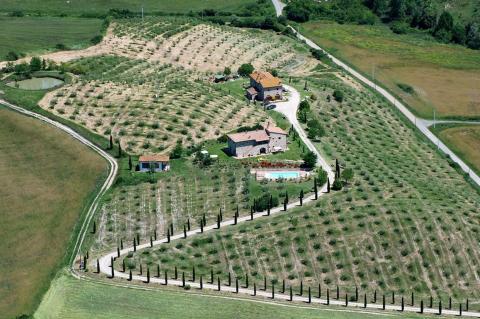 Agriturismo Podere Campaini
