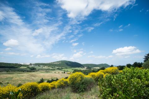 Resort met moderne appartementen Toscane