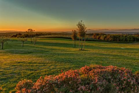 Agriturismo Toscane met zwembad