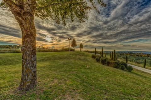 Agriturismo Montaione