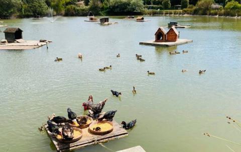 Vakantiewoningen Toscane