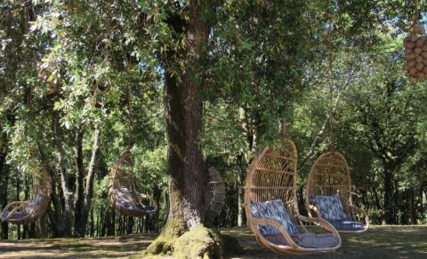 Vakantiewoningen Montaione Toscane