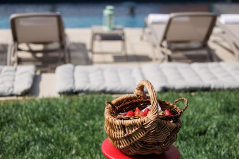 Villa Il Colle di Sotto | Tritt vakantiehuizen