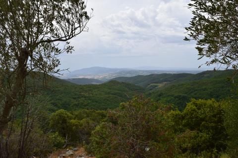 Agriresidence Colli Verdi Pisa Toscane