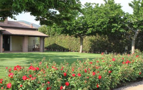 Vakantiehuisjes Cecina Livorno Toscane