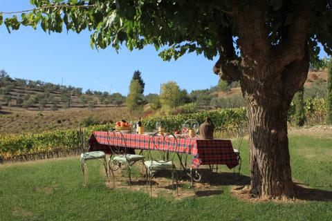 Toscane agriturismo Florence