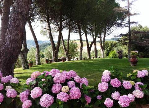 Vakantiehuisjes Toscane Italie