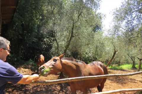 Vakantieappartementen agriturismo Toscane