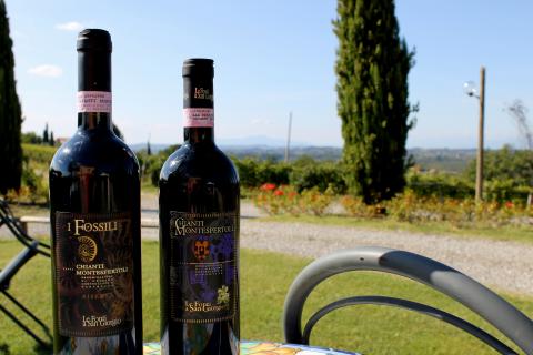 Agriturismo wijnboerderij Chianti