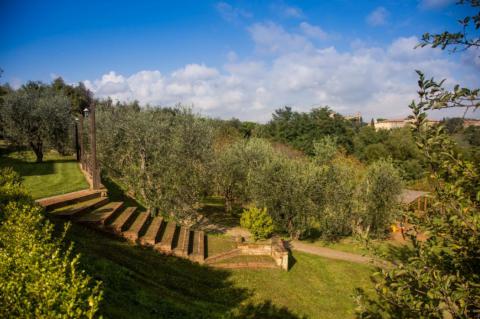 Vakantieappartementen voor liefhebbers van de Toscaanse keuken bij Pisa  | Tritt.nl