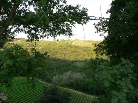 Vakantiehuisjes Chianti Toscane