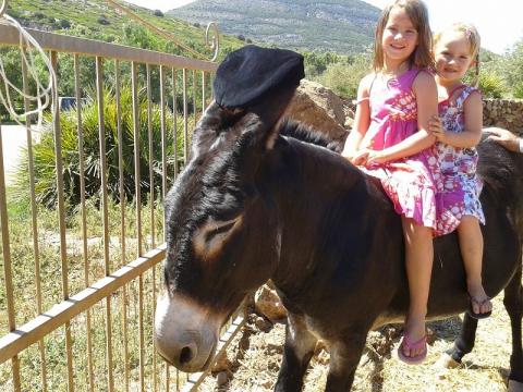 kindvriendelijke vakantiewoningen - borgo corallo