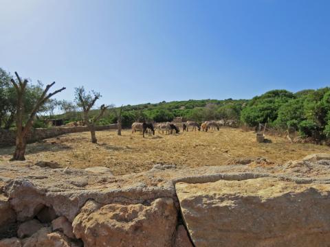 borgo corallo sardinie appartementen