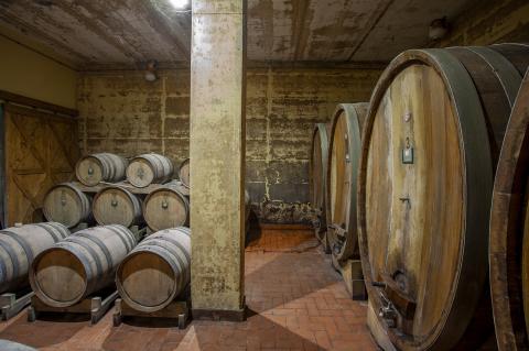 Wijnlandgoed Toscane, wijnvakantie Toscane