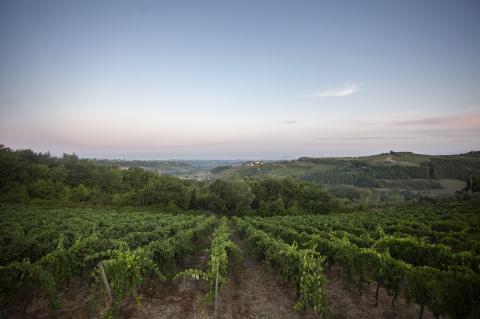 Vakantie agriturismo kinderbad Toscane