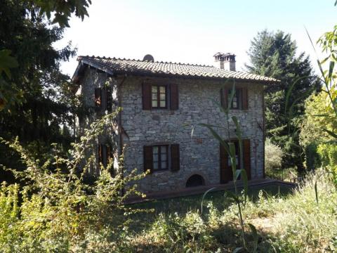 Voordelig vakantiehuis tussen Lucca en Pisa.