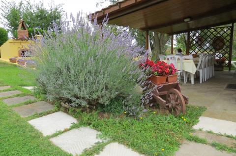 Vakantiewoningen in typisch Toscaans landhuis Cecina | Tritt.nl