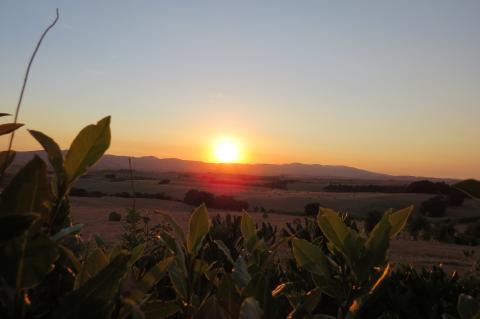 Vakantiehuisjes kust Toscane Pisa