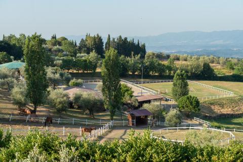 Agriturismo met manege Toscane