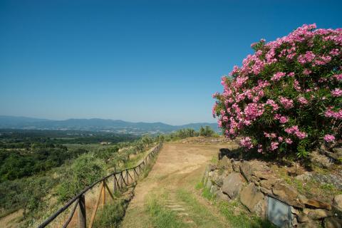 Appartementen en familiekamers nabij Florence