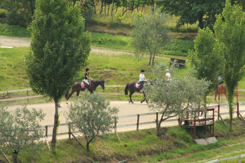 Agriturismo met manege in Florence, Toscane