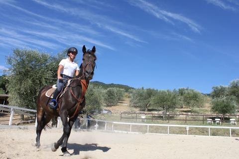 Vakantiehuisen Reggello Toscane met manege