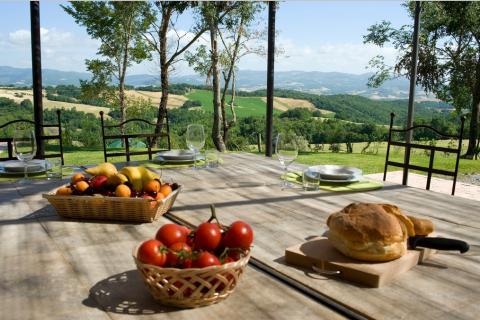 Luxe villa in Guardistallo, Toscane | Tritt.nl