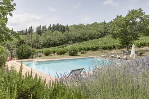 Agriturismo met wijngaard Toscane