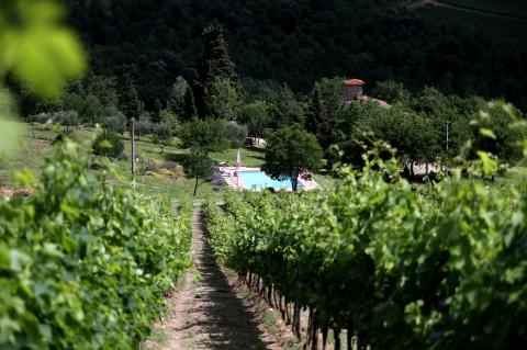 Agriturismo met wijngaard Toscane