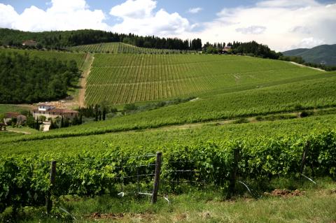 Agriturismo met appartementen vlakbij Florence