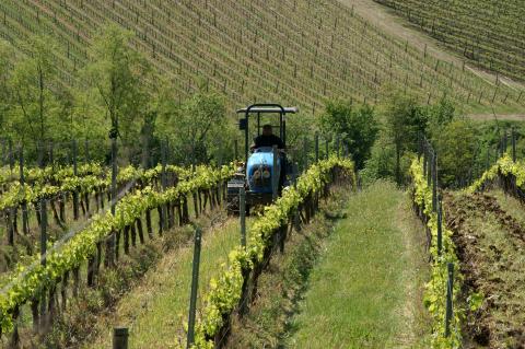 Agriturismo met appartementen vlakbij Florence