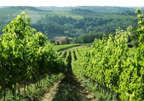 Agriturismo Montespertoli Toscane