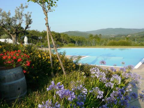 Vakantieparkje Arezzo Toscane