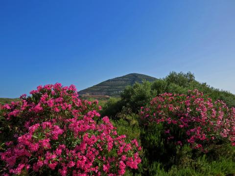 sardinie vakantiehuisjes