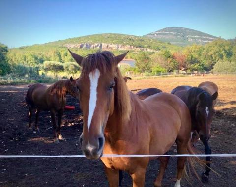 agriturismo sardinie