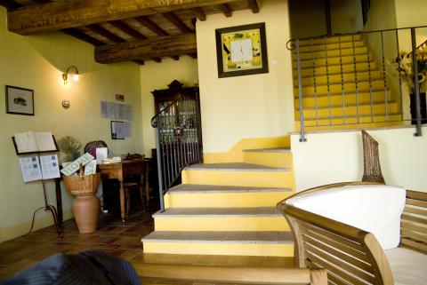 Vakantiehuisjes Toscane kust