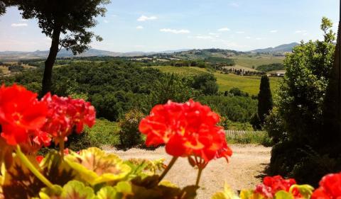 Charmante Toscaanse agriturismo in Terricciola, Pisa | Tritt.nl