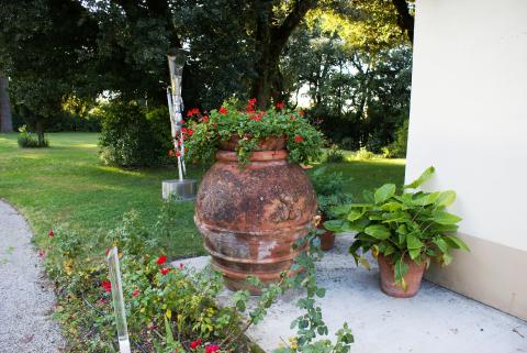 Charmante Toscaanse agriturismo in Terricciola, Pisa | Tritt.nl